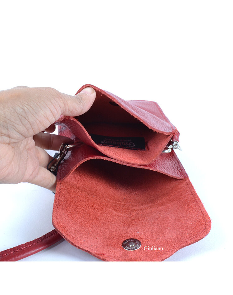Kleine Leder-Schultertasche | Lang Metallic | 552582