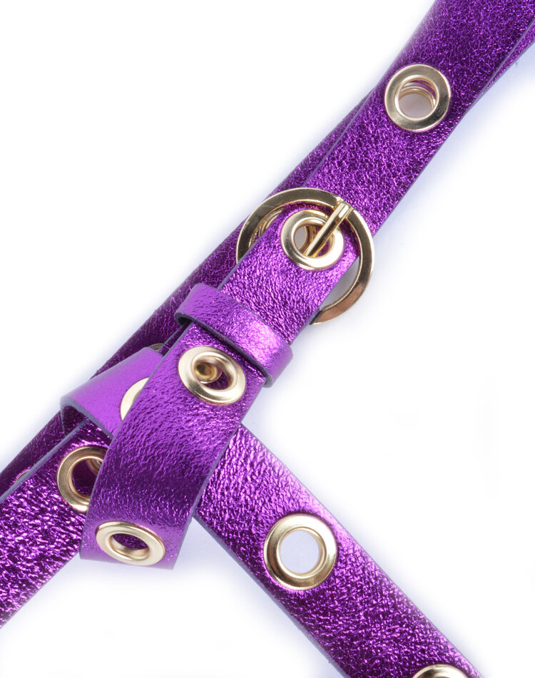 Riem  - Metalen gaatjes leer metallic  | 800005