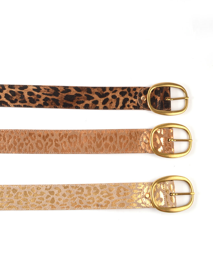 Nubuck Panther Belt | 559126