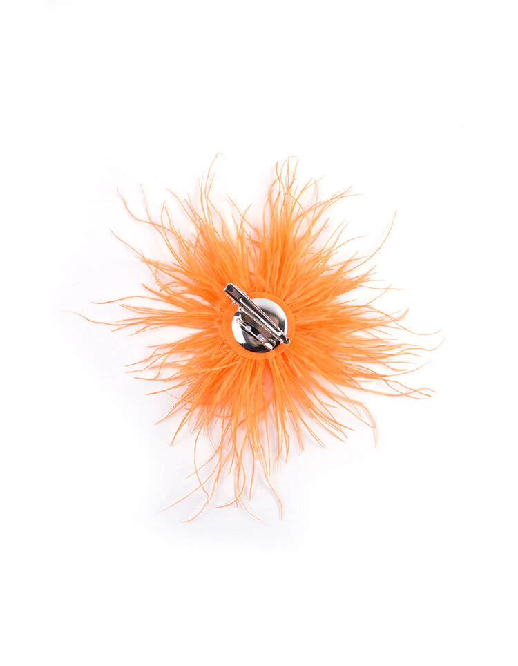 Brosche | 300031