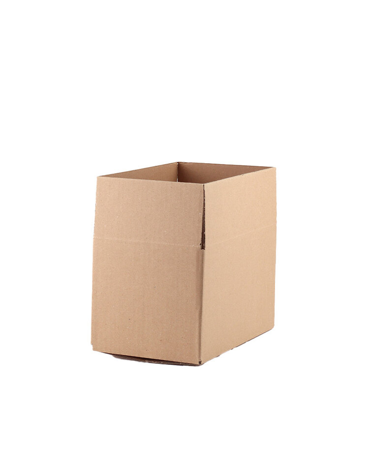 Cardboard box | 10-pack  | 66666