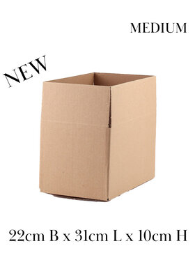 Cardboard box | 10-pack  | 66666