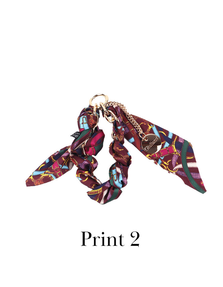 Giuliano Bagchain | 23310