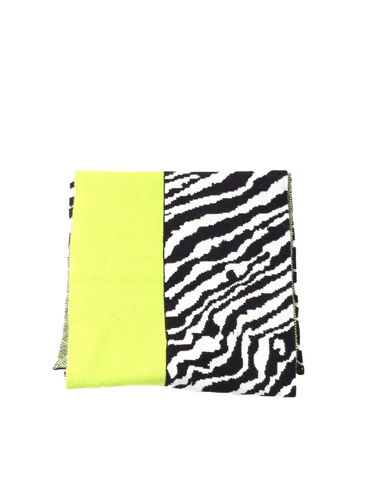 Giuliano Zebra Scarf | 700373