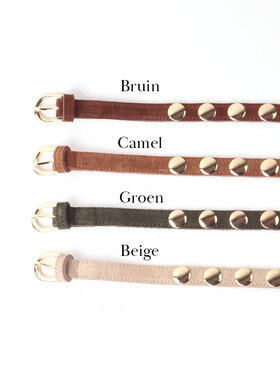 Giuliano Leather  Leather suede belt | Studs| 559060