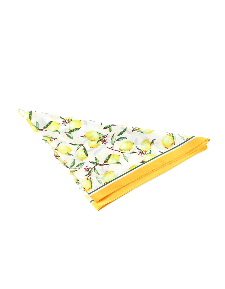 Giuliano Scarf  |  700345 | Lemon