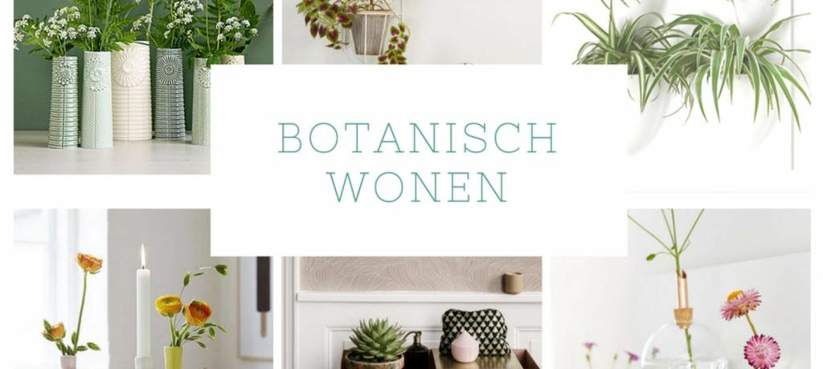 Goede BLOG - Botanische trend past heel goed bij Scandinavisch wonen PQ-76