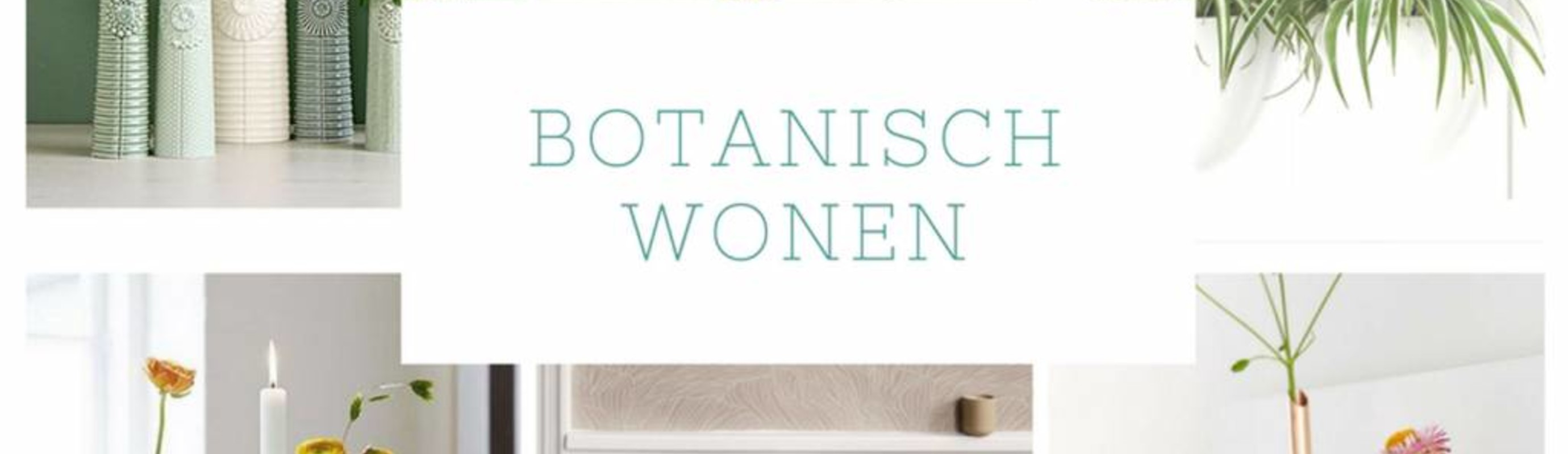 Botanische trend past heel goed bij Scandinavisch wonen