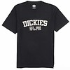 Camisetas