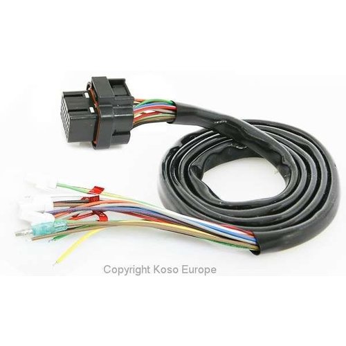 KOSO Main wire RX2N