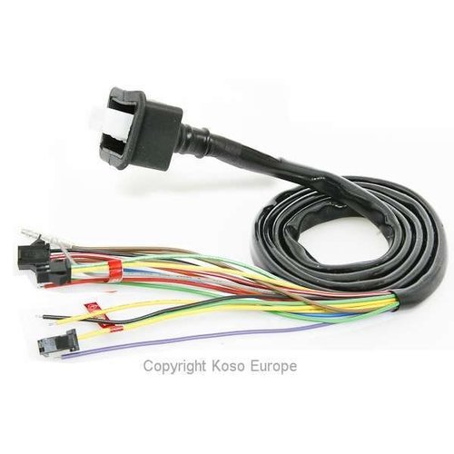 KOSO Câble principal pour RX1N, RX2