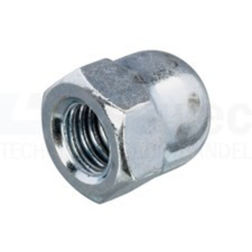 Galvanised Cap Nut M6 (Minimum order amount = 10)