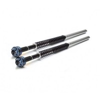BMW K 100 RS 1993 - 1997 Voorvork Performance Cartridge (set)