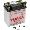 Lead Batteries (Conventional)