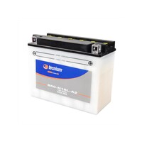 B50N18LA2 Bleibatterie mit Säurepack