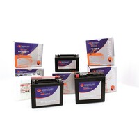 51913 Batterie Plomb avec pack acide