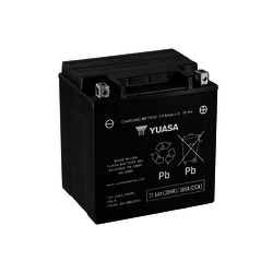 YIX30L-BS Wartungsfreie Batterie