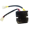 Rick's Electrics Triumph Daytona/Street Triple Régulateur de redresseur compatible avec le lithium