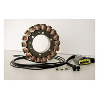 Stator Yamaha: 02-08 TDM900 Modèle européen 900cc