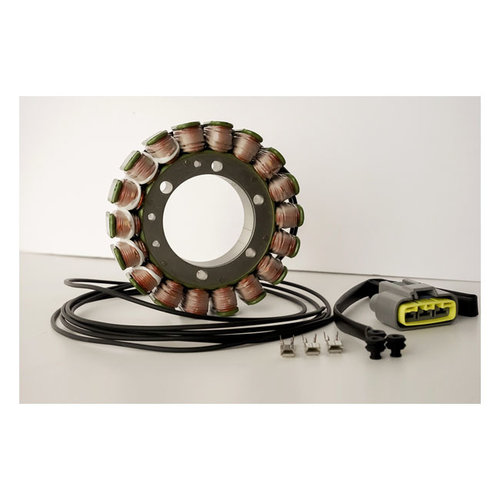 Rick's Electrics Stator Yamaha: 02-08 TDM900 Europees model 900cc