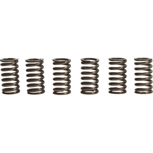 TRW Clutch Spring Kit MEF114-6