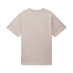 Dickies Stockdale T-Shirt Sandstein