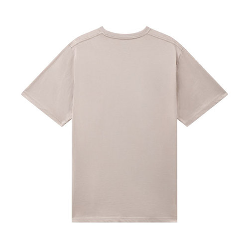 Dickies Stockdale T-Shirt Sandstein