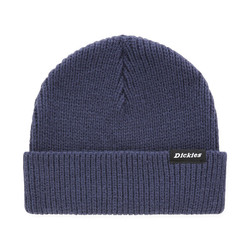 Dickies Dickies Woodworth Beanie Navy