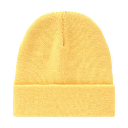 Dickies Gibsland Beanie Apricot