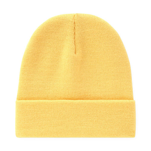 Dickies Gibsland Beanie Apricot