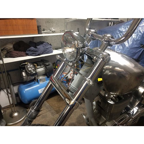 Suzuki LS650 salvaje