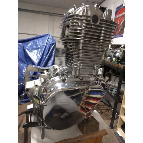 Suzuki LS650 selvaggio