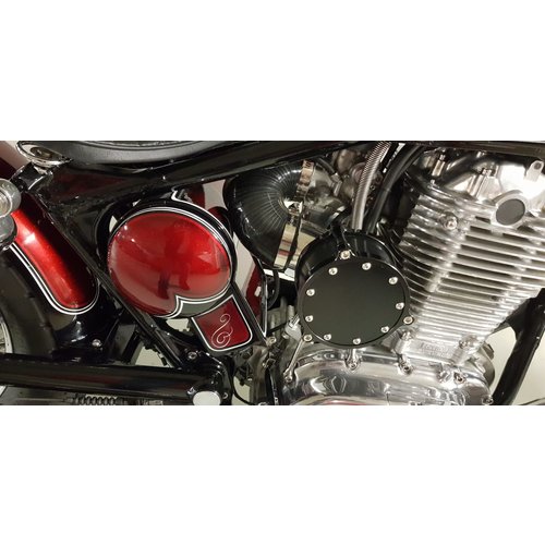 Suzuki LS650 selvaggio