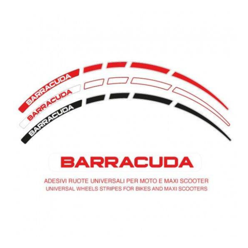Barracuda Kit Strisce Cerchi Universali per Moto/Maxiscooter | (Scegli il Colore)