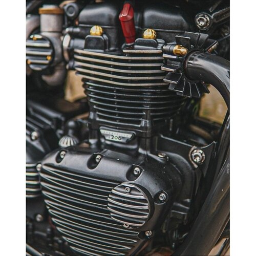 Motone Magnum Force | Brass Exhaust Clamp Nuts