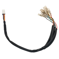 Rear Wiring Loom | Plug And Play | Bobber / Scrambler 1200 / Speed Master