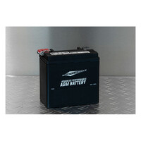 Advance Series-Agm Afgedichte Accu | 12V | 12 Ah | 220 Cc