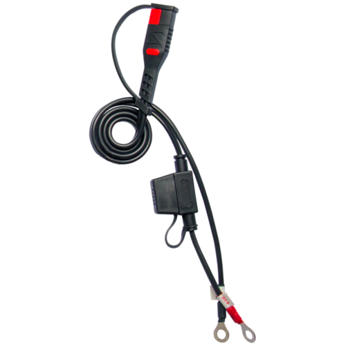 BS Battery Chargeur de batterie / chargeur de maintien BS10 6V/12V 1A