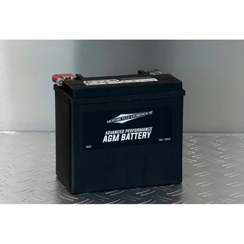 Advance Series- Agm Sealed Battery | 12 V | 19 Ah | 325 Cca