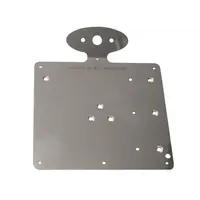 Plate for license plate