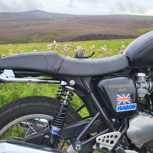 Hagon Progressieve Shocks oog/oog