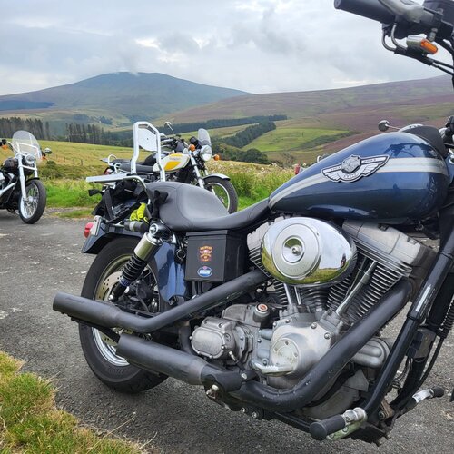 Hagon Progressive Shocks ojo/ojo