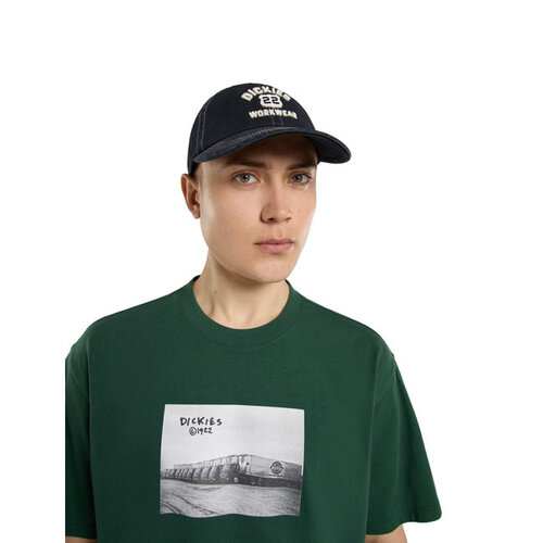 Dickies Grimsley Cap Zwart