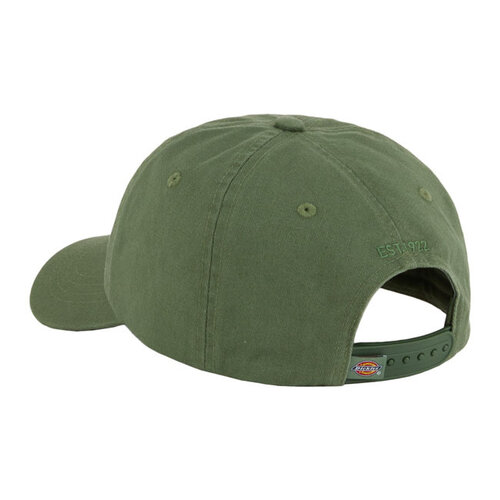 Dickies Hardwick Cap Sea Spray