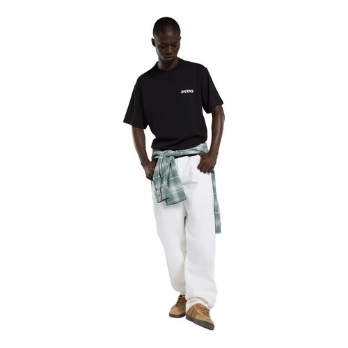 Dickies Dry Ridge T-shirt zwart