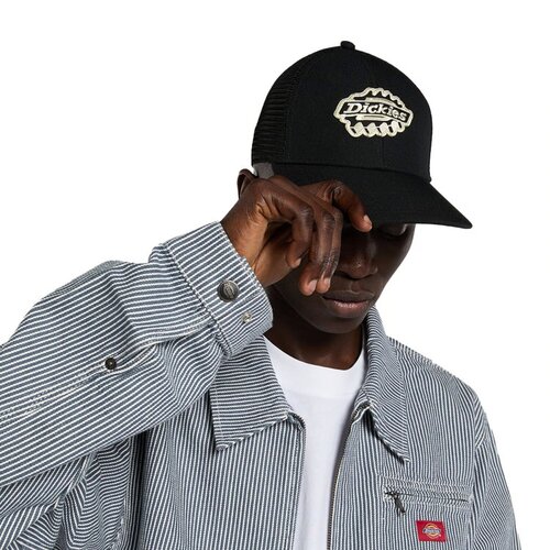 Dickies Gorra de camionero de Irondale
