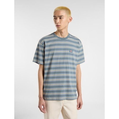 Dickies Camiseta Lewistown Stripe con estampado de tormenta