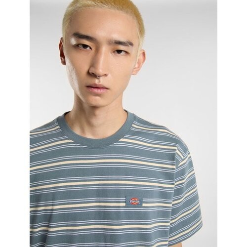 Dickies T-shirt rayé Lewistown Temps orageux
