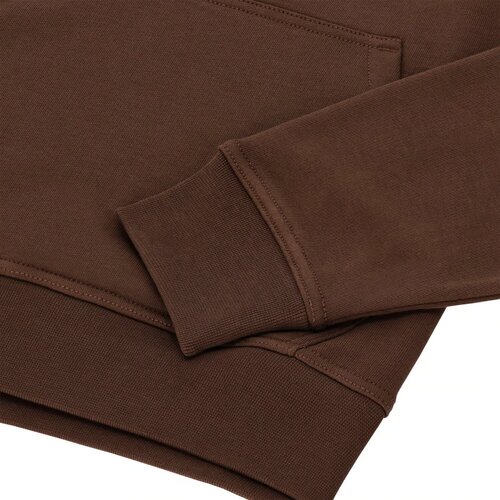 Dickies Sudadera con capucha Loretto color marrón madera