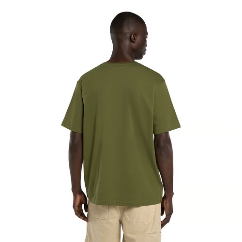 Dickies Camiseta Mapleton Cypress